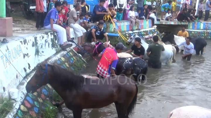 Ritual Unik Memandikan Kuda pada Malam Jumat Kliwon