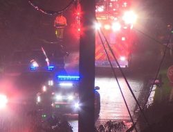 Trees Topple, Hospitalizing Resident in Birmingham Storm Trees Topple, Hospitalizing Resident in Birmingham Storm