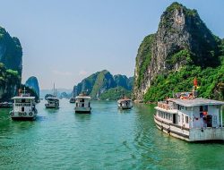**”Tragedy at Sea: Taiwanese Tourist Dies Choking on Buffet Food Aboard Ha Long Cruise”** **”Tragedy at Sea: Taiwanese Tourist Dies Choking on Buffet Food Aboard Ha Long Cruise”**