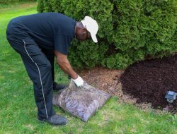 The Easy Way to Mulch Without Harming Your Plants