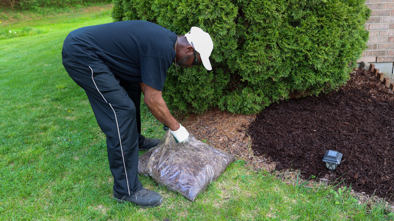 The Easy Way to Mulch Without Harming Your Plants