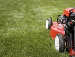 How Often You Really Should Be Mowing Your Lawn How Often You Really Should Be Mowing Your Lawn