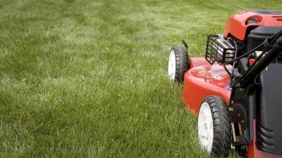 How Often You Really Should Be Mowing Your Lawn