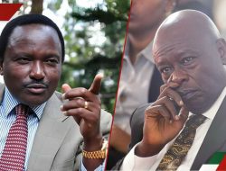 Clash Erupts as Wiper MP Accuses Rigathi Gachagua of Disrespecting Kalonzo Musyoka: “It’s Insulting” – International Edition (English)