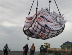 Akibat Mencolok: Perbedaan Tajam Pertumbuhan IHX dan IHM Kuartal I 2025