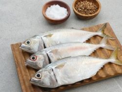 9 Resep MPASI Ikan Kembung Lezat yang Akan Disukai Buah Hati 9 Resep MPASI Ikan Kembung Lezat yang Akan Disukai Buah Hati
