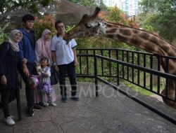 Tingkat Kunjungan ke Kebun Binatang Bandung Naik Tajam Tiga Kali Lipat