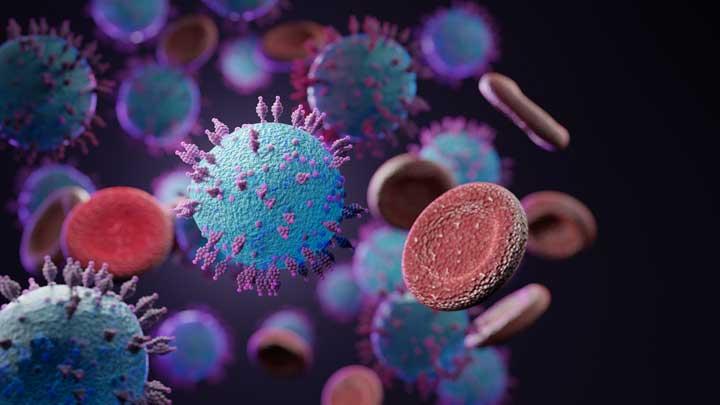 Virus HKU5 yang Mirip Covid-19, Siapakah Pemenangnya?