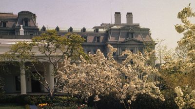 Trump Kicks Off Renovation: White House Rose Garden Groundbreaking