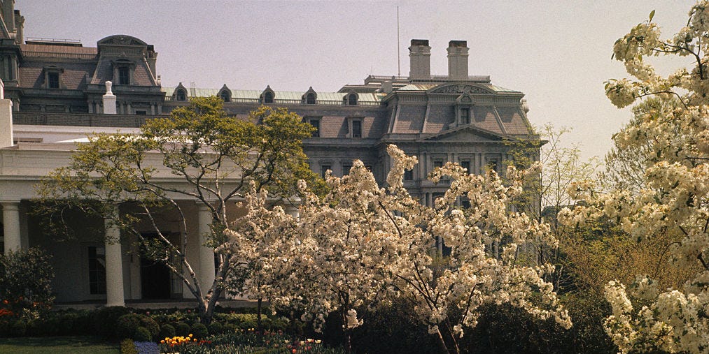 Trump Kicks Off Renovation: White House Rose Garden Groundbreaking