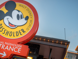 Disney World Annual Passes: Your Ultimate Guide