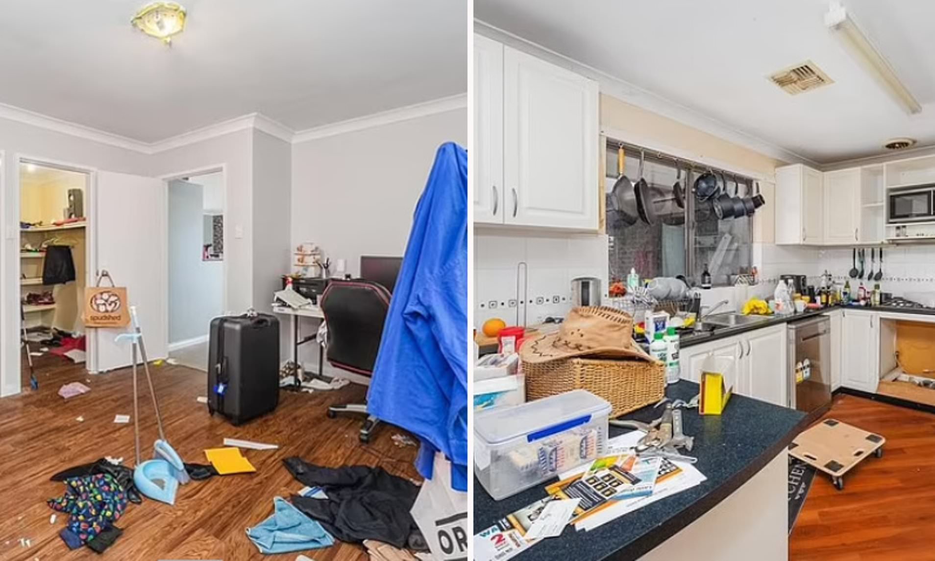 Brutally Honest Real Estate Agent’s Ad Goes Viral (International Edition)