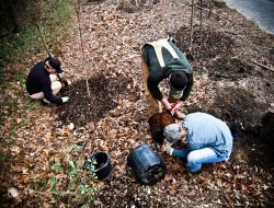 Eco Restore Kicks Off Tree-Planting Initiative on World Environment Day Eco Restore Kicks Off Tree-Planting Initiative on World Environment Day