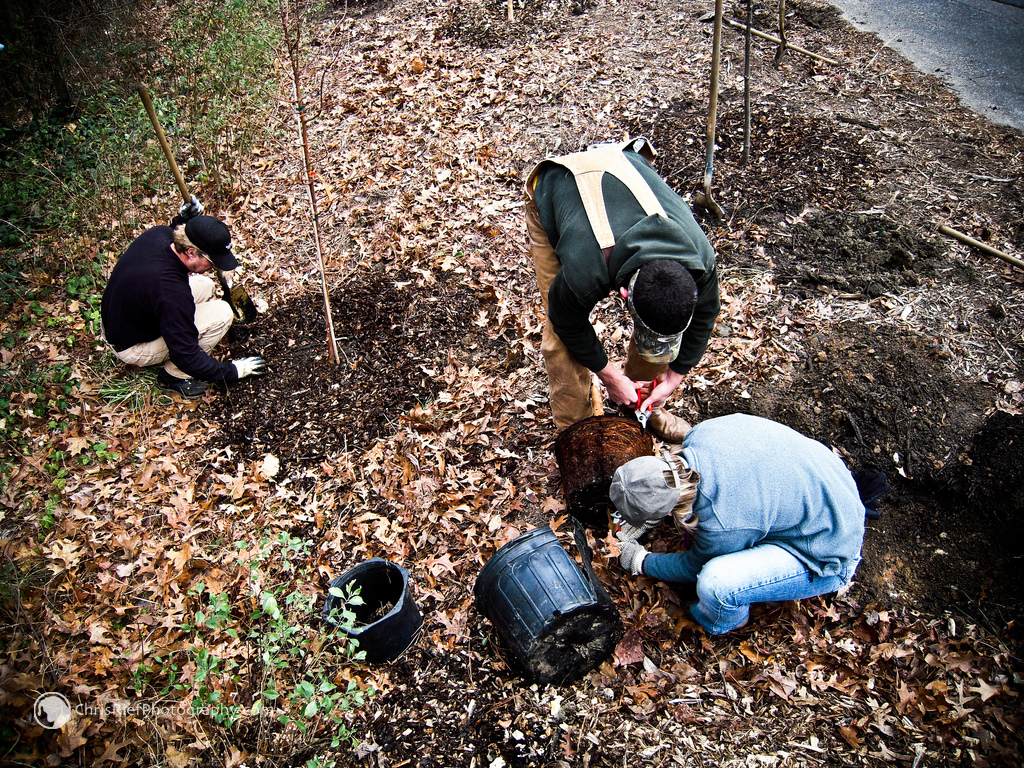 Eco Restore Kicks Off Tree-Planting Initiative on World Environment Day