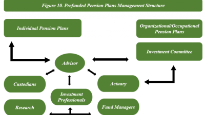 The Savvy Pension Fund Trustee: Essential Insights (International Edition, English)
