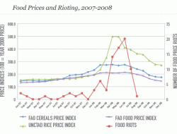 Nigeria’s Sugar ‘Shortage’ Exposed: Why Believing the Myth Could Cost Our Economy Nigeria’s Sugar ‘Shortage’ Exposed: Why Believing the Myth Could Cost Our Economy