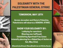 Where Should We Rehouse the Palestinian People?