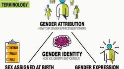 Empowered Women, Confused Men? The Overlooked Side of Gender Dialogue