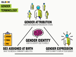 Empowered Women, Confused Men? The Overlooked Side of Gender Dialogue Empowered Women, Confused Men? The Overlooked Side of Gender Dialogue