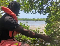 ‘91% Mangrove Restoration Success in Ogoniland: An International Edition Report’ ‘91% Mangrove Restoration Success in Ogoniland: An International Edition Report’