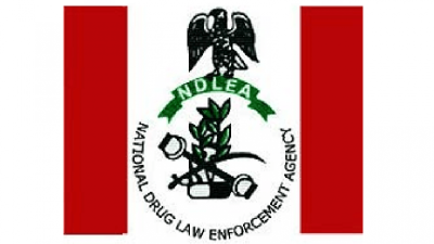 NDLEA Nabs 36 Drug Suspects, Seizes Illicit Substances in Kano