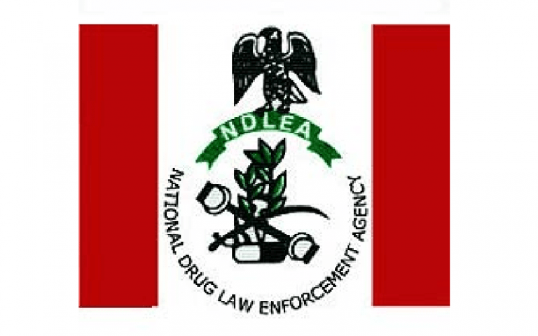 NDLEA Nabs 36 Drug Suspects, Seizes Illicit Substances in Kano