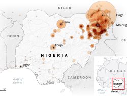 Airstrikes Eliminate Terrorists in Niger – International Edition
