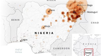 Airstrikes Eliminate Terrorists in Niger – International Edition