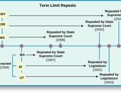 Six-Year Term Limits: President and Governors Alike – Makinde Six-Year Term Limits: President and Governors Alike – Makinde