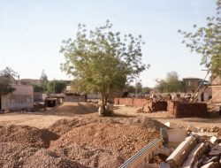 Sudan’s Mycetoma Crisis: War Devastates Research Center, Imperiling the World’s Poorest Sudan’s Mycetoma Crisis: War Devastates Research Center, Imperiling the World’s Poorest