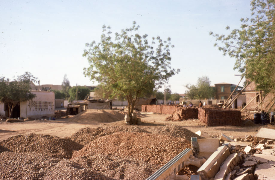 Sudan’s Mycetoma Crisis: War Devastates Research Center, Imperiling the World’s Poorest