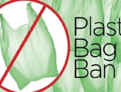 SEPA DG Clarifies: Ban on Plastic Bags, Not All Plastics, Takes Effect – International Edition (English)