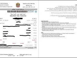 Visa Requirements for Nigerians Traveling to Luxembourg: An Essential Guide