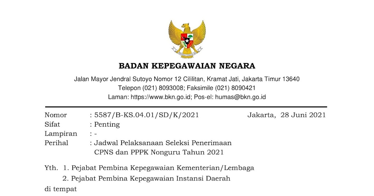 Prihatin! 5 Golongan Honorer Ini Resmi Gagal Lolos Seleksi PPPK 2024 Tahap 2 Hari Ini