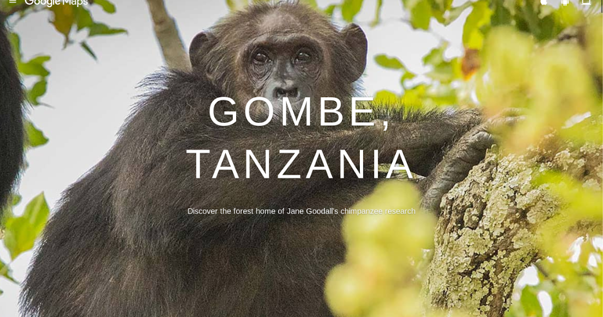 Gombe Unveils Locally-Made Supplement to Tackle Malnutrition