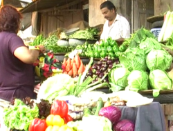 Tomato and Pepper Prices Soar in Kano, Taraba, and Other Nigerian States – International Edition Tomato and Pepper Prices Soar in Kano, Taraba, and Other Nigerian States – International Edition