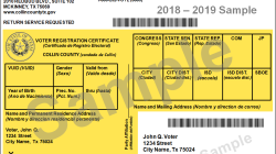 2025 Primary Election Results: Unveiling the Votes in Oswego County