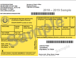 2025 Primary Election Results: Unveiling the Votes in Oswego County