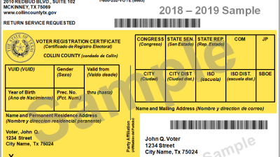 2025 Primary Election Results: Unveiling the Votes in Oswego County