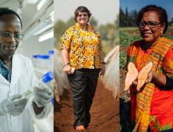 SAU Earns Accreditation for Cutting-Edge Food Technology and Environmental Science Programs – International Edition (English) SAU Earns Accreditation for Cutting-Edge Food Technology and Environmental Science Programs – International Edition (English)