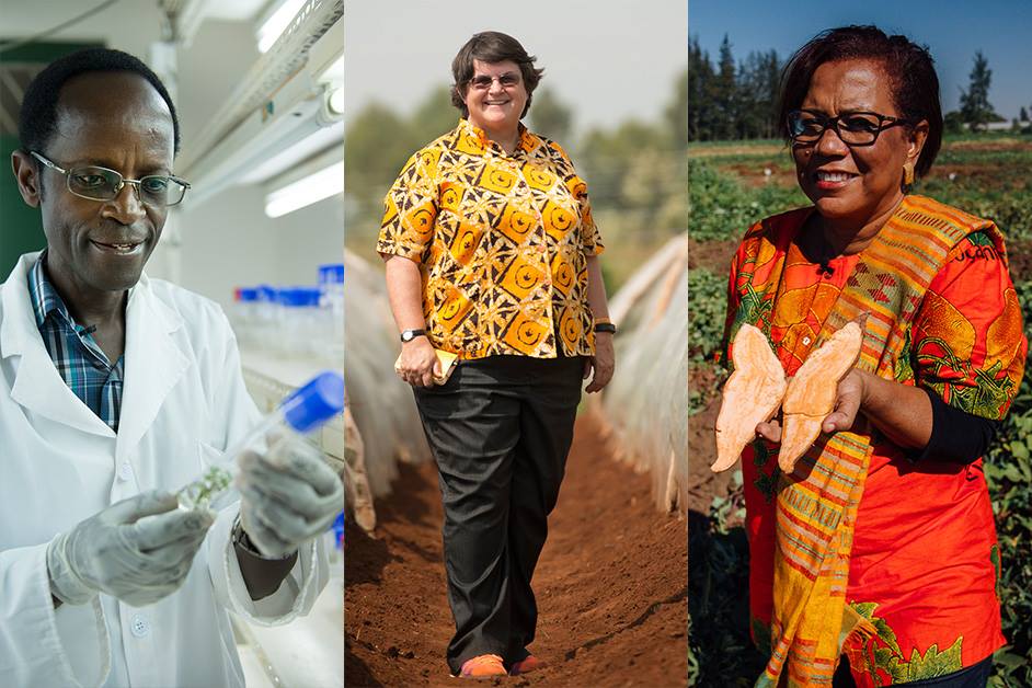 SAU Earns Accreditation for Cutting-Edge Food Technology and Environmental Science Programs – International Edition (English)