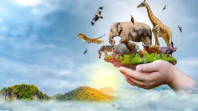 Wildlife Protection Bill Clears Final Hurdle in International Edition (English)