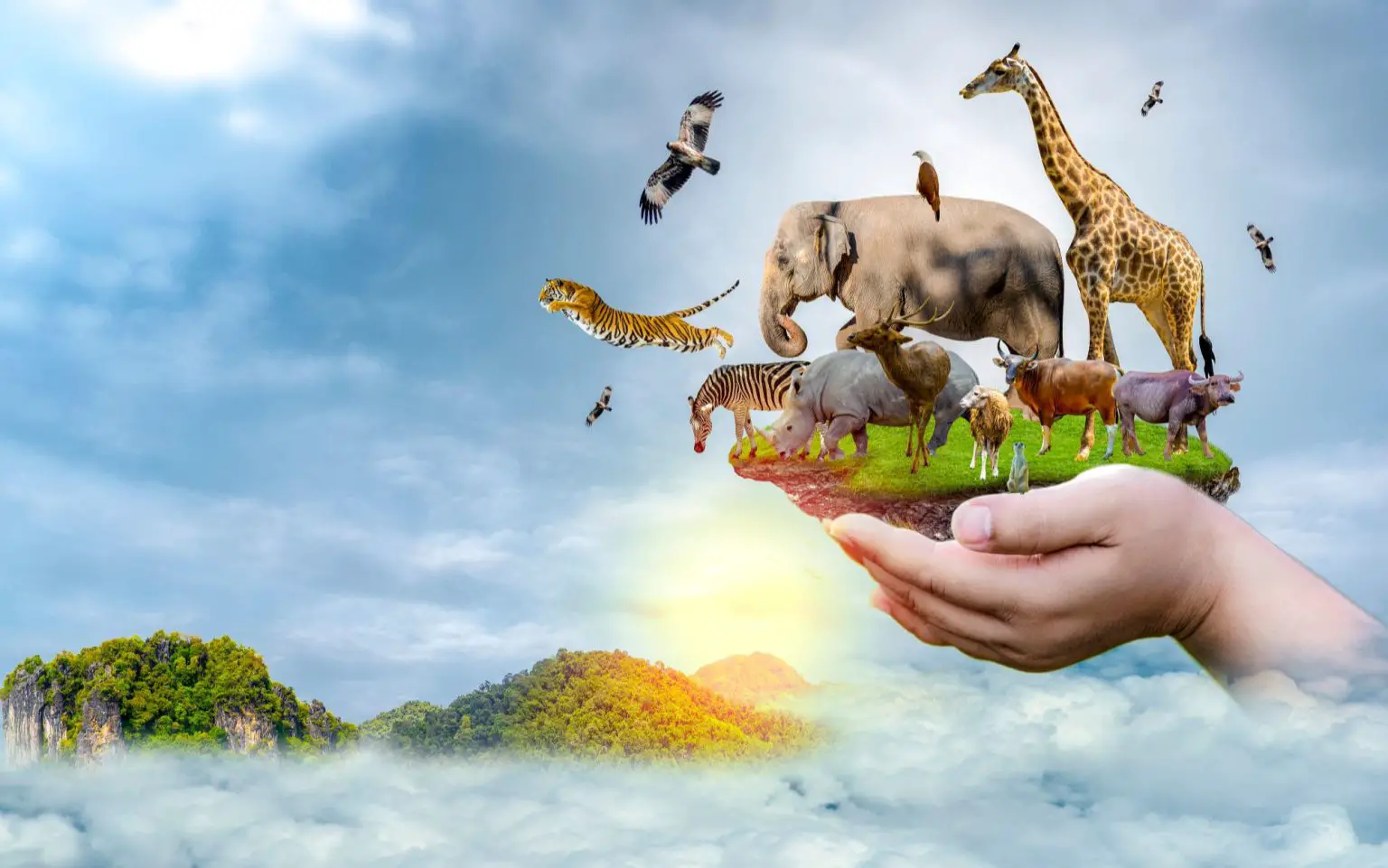 Wildlife Protection Bill Clears Final Hurdle in International Edition (English)