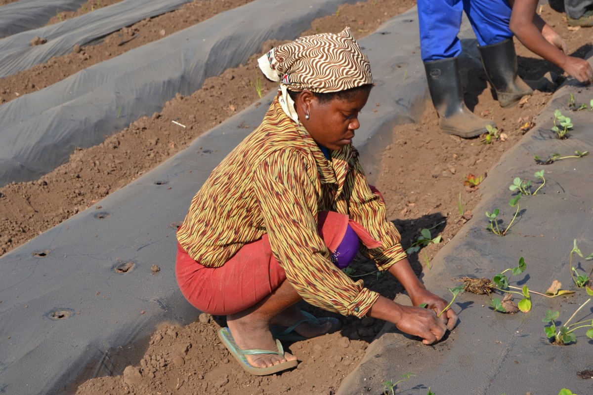 Youths in Kirinyaga Urged to Embrace Plant Operation Courses