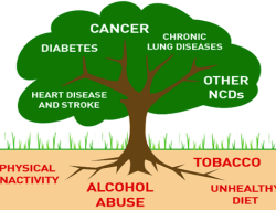 Sports Key to Tackling Non-Communicable Diseases, Kabale Leaders Urge Communities