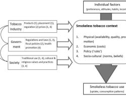 International Edition (English): Report Advocates Science-Driven Approach to Tobacco Control