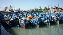 Morocco Pumps Up Maritime Transport for Summer Surge: 520 Weekly Sailings