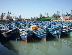 Morocco Pumps Up Maritime Transport for Summer Surge: 520 Weekly Sailings