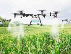 Africa Kicks Off Phase Two of Phytosanitary Initiative to Combat Crop Pests – International Edition (English) Africa Kicks Off Phase Two of Phytosanitary Initiative to Combat Crop Pests – International Edition (English)