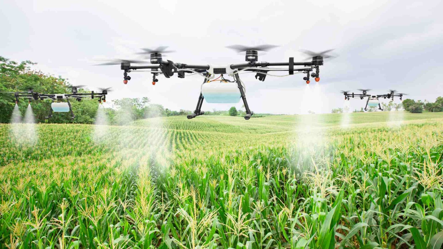 Africa Kicks Off Phase Two of Phytosanitary Initiative to Combat Crop Pests – International Edition (English)